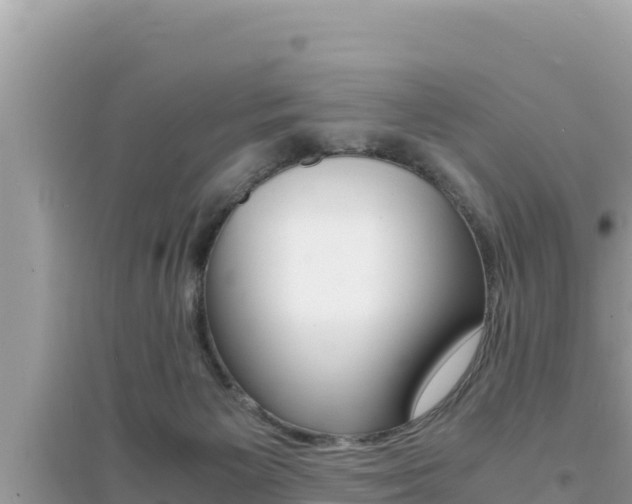 X0000095120125200712070952