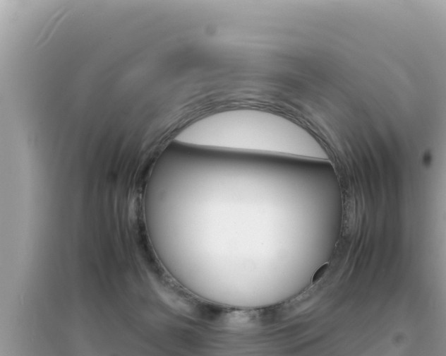 X0000095120126200712070952