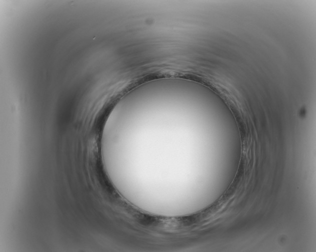 X0000095120127200712070952