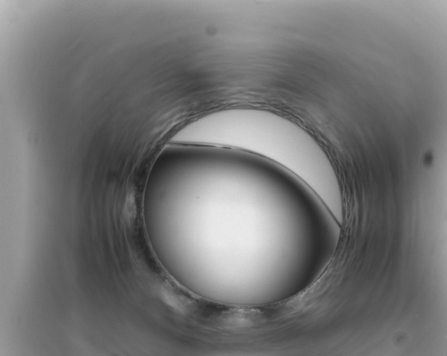 X0000095120128200712070952