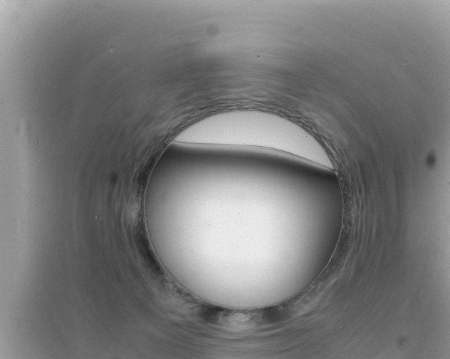 X0000095120129200712070952