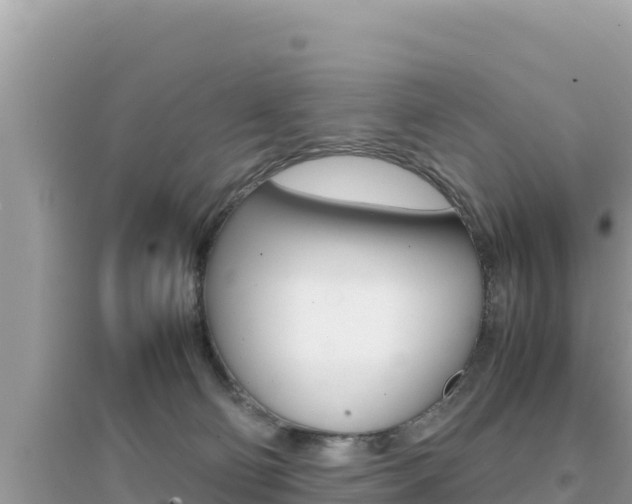 X0000095120130200712070952