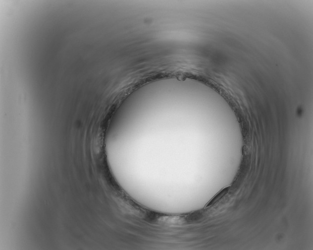 X0000095120133200712070952
