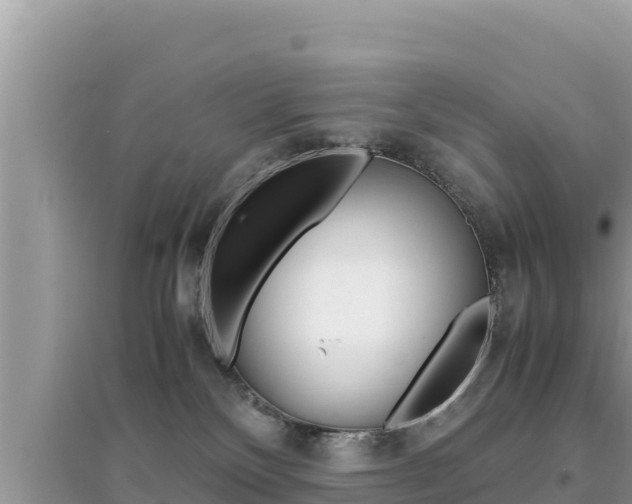 X0000095120136200712070952