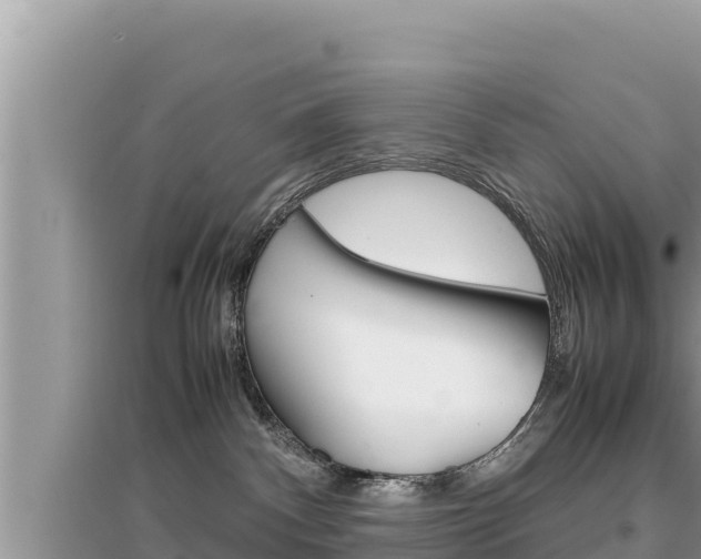 X0000095120140200712070952