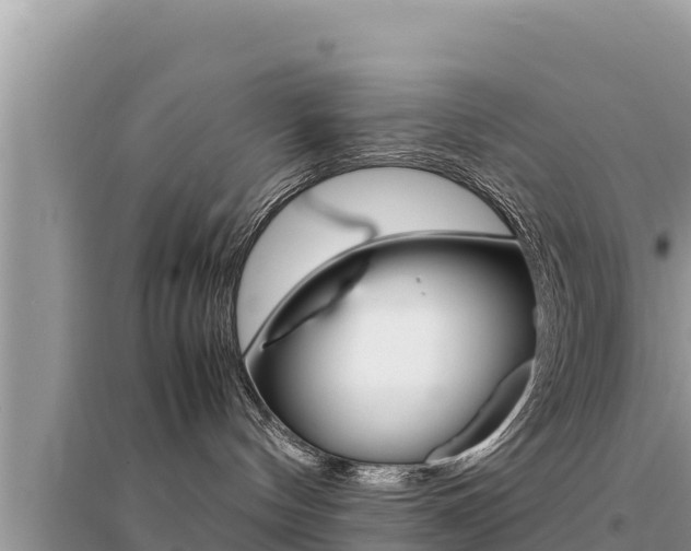 X0000095120144200712070952