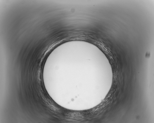 X0000095120146200712070951