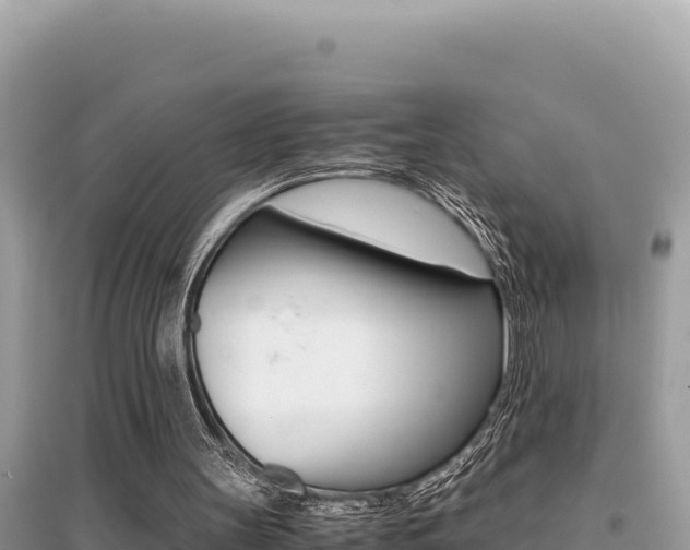 X0000095120147200712070951