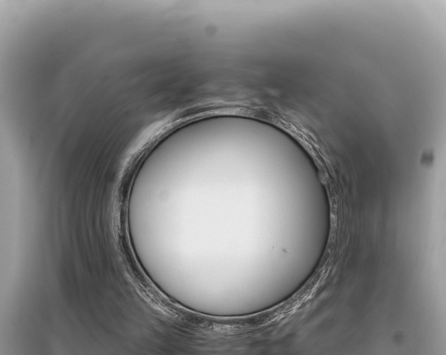X0000095120149200712070951