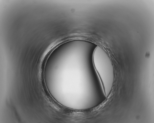 X0000095120150200712070951