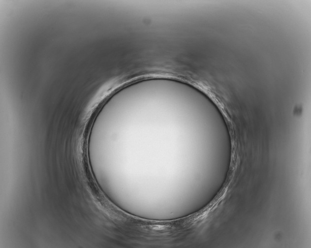 X0000095120151200712070951