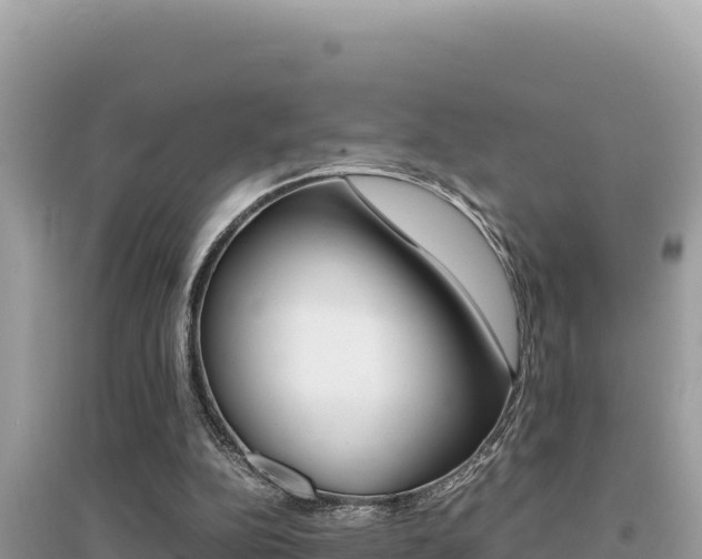 X0000095120152200712070951