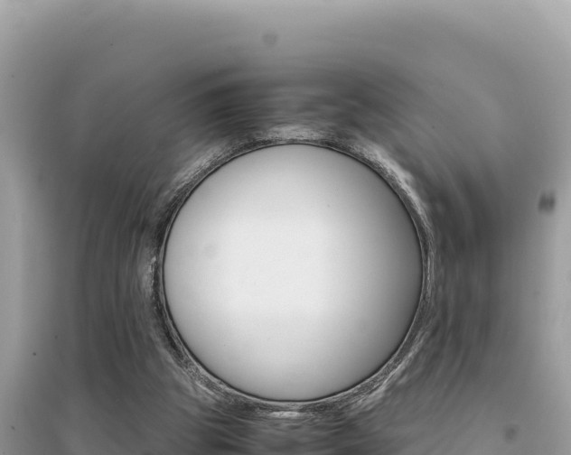 X0000095120153200712070951
