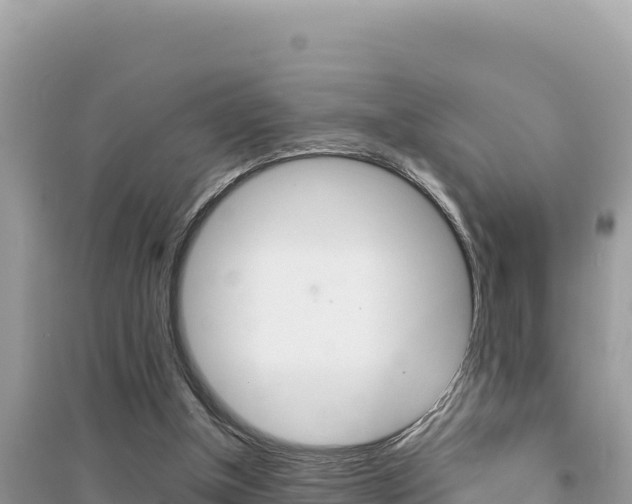 X0000095120154200712070951