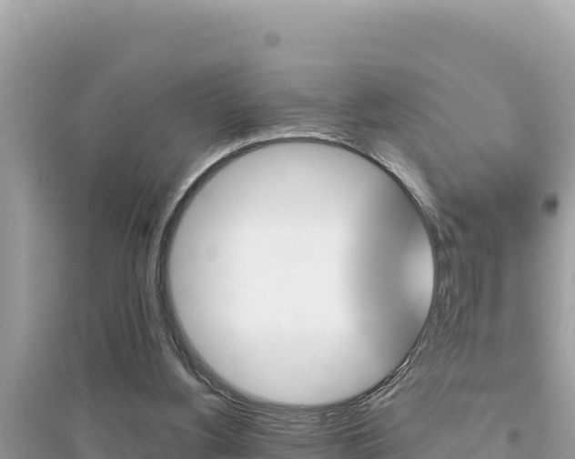 X0000095120156200712070951