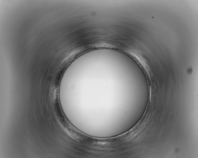 X0000095120157200712070951