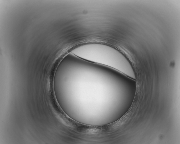 X0000095120158200712070951