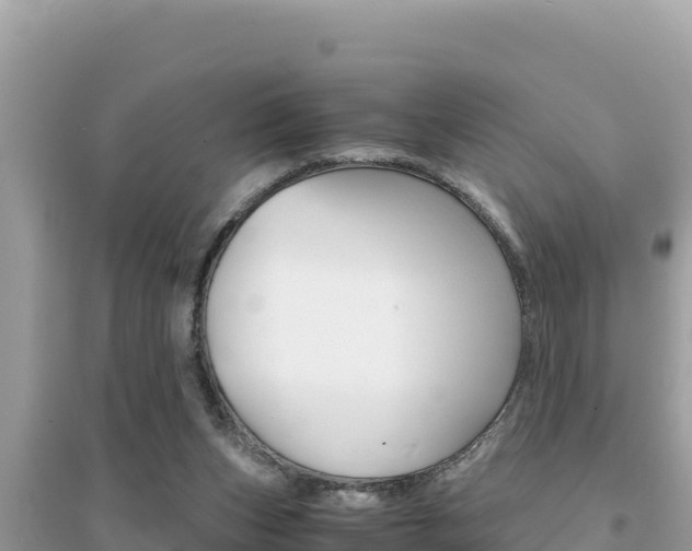 X0000095120159200712070952