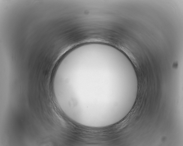 X0000095120160200712070952