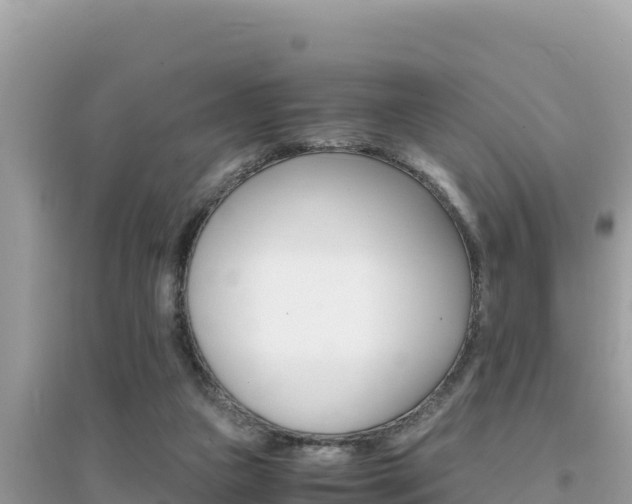 X0000095120161200712070952