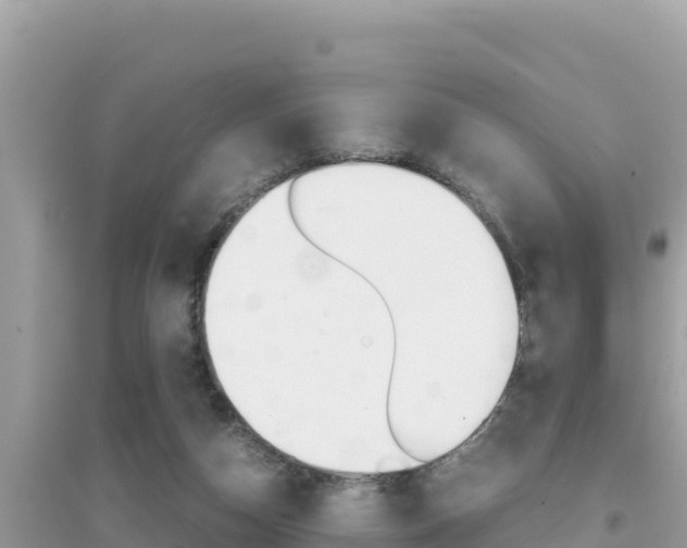 X0000095120162200712070952