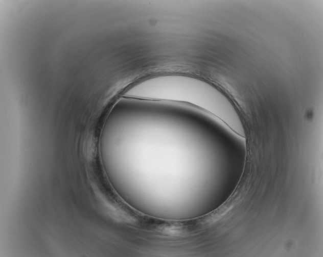 X0000095120164200712070952