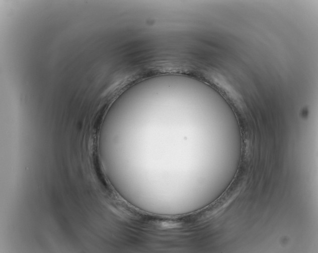 X0000095120165200712070952