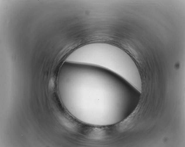 X0000095120166200712070952