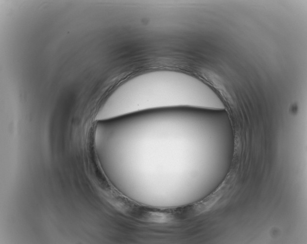 X0000095120167200712070952
