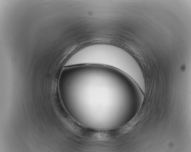 X0000095120168200712070952