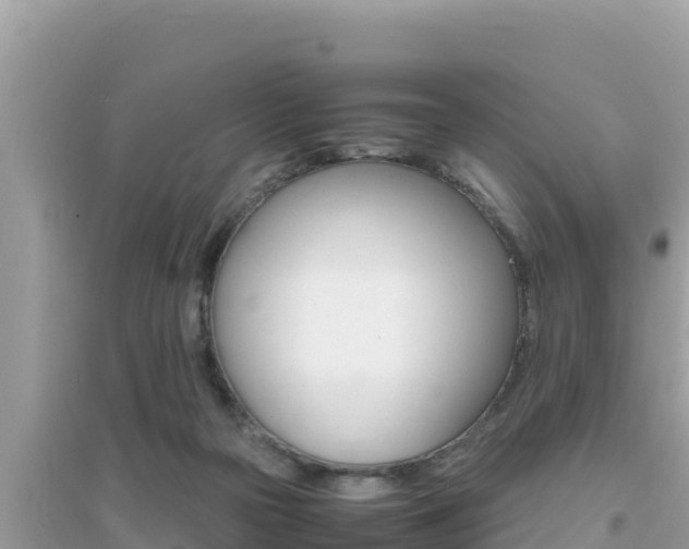 X0000095120169200712070952