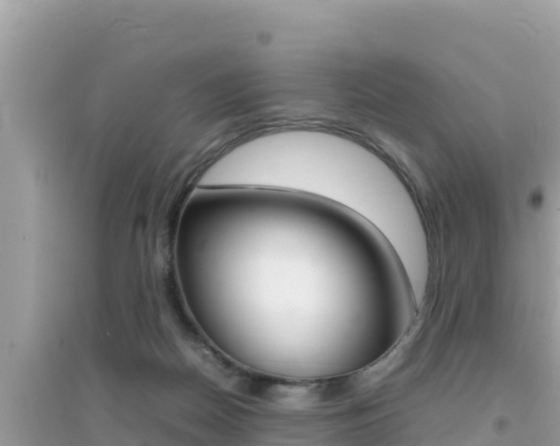X0000095120170200712070952