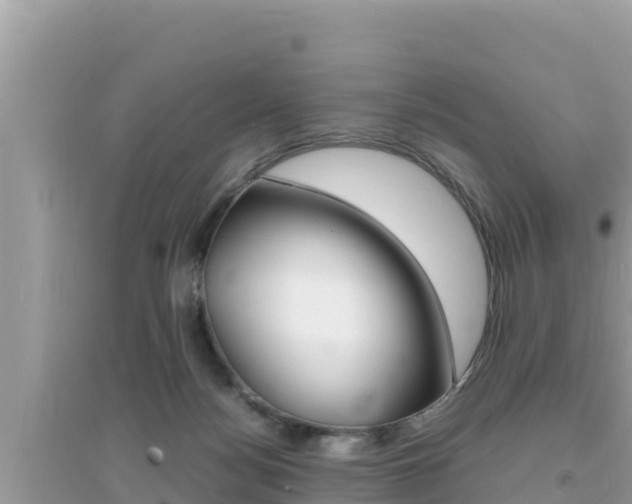 X0000095120172200712070952