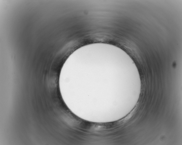 X0000095120174200712070952