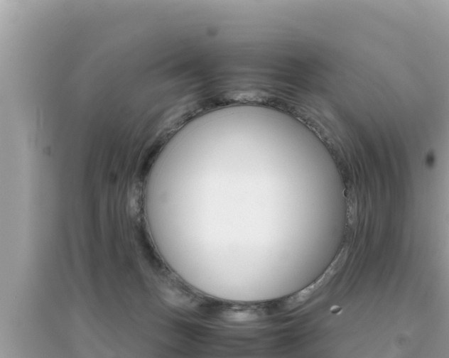 X0000095120175200712070952