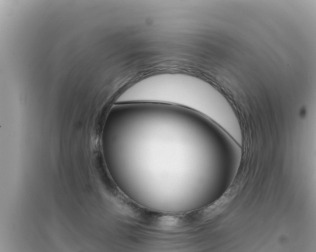 X0000095120176200712070952