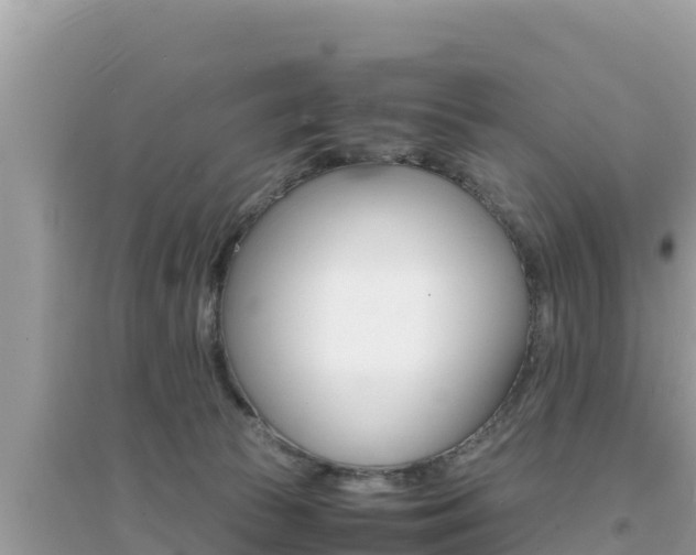 X0000095120177200712070952