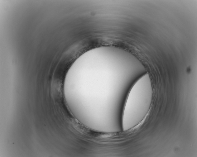 X0000095120178200712070952