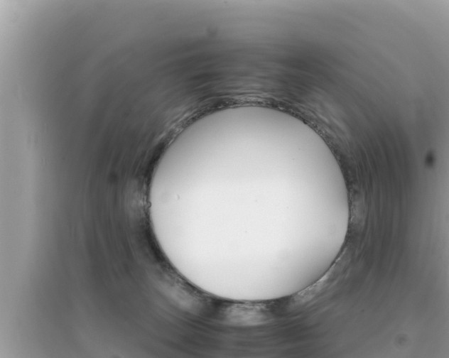 X0000095120179200712070952