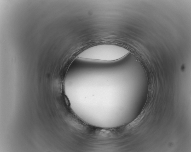 X0000095120180200712070952