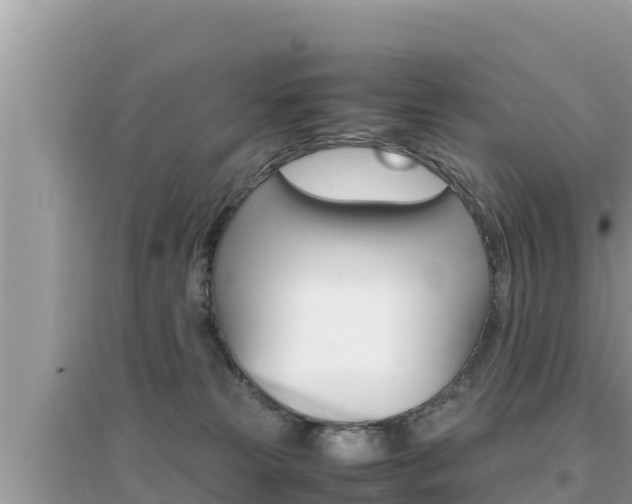 X0000095120181200712070952