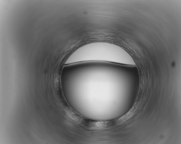 X0000095120184200712070952