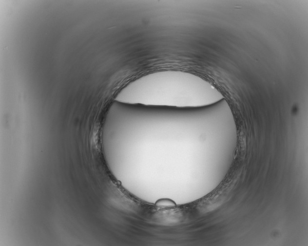 X0000095120185200712070952