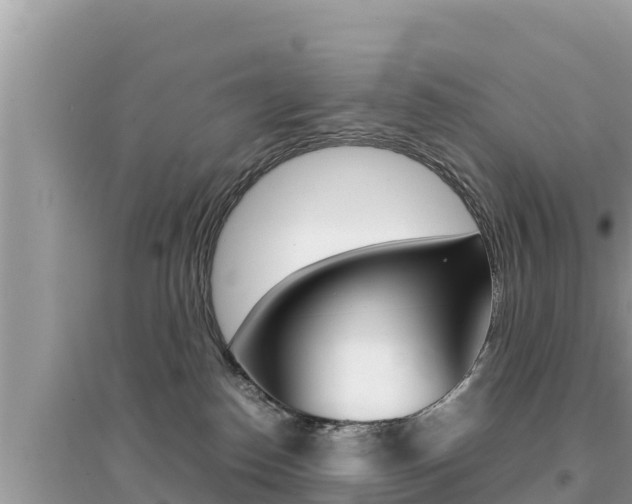 X0000095120186200712070952