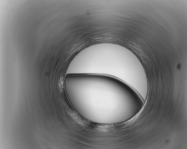X0000095120190200712070952