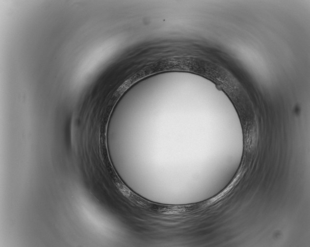 X0000095120191200712070952