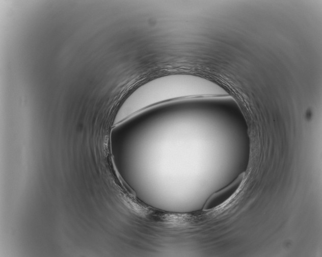X0000095120192200712070952