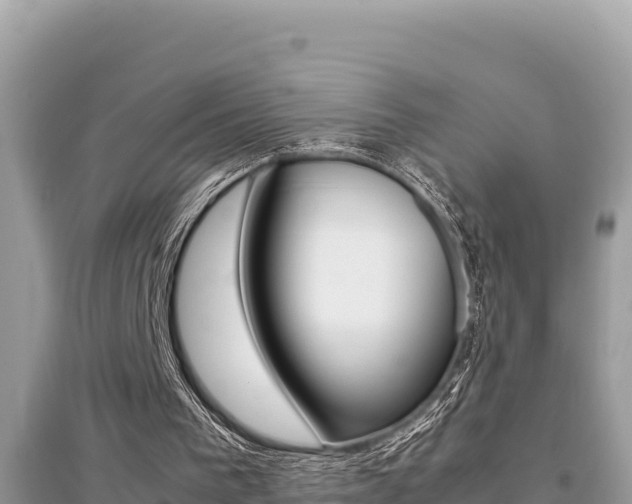 X0000095120193200712070951