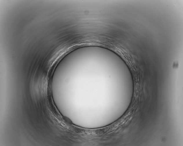 X0000095120194200712070951