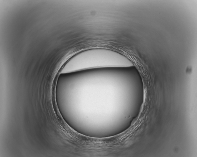 X0000095120195200712070951